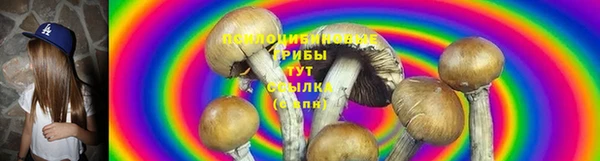 круглые Алзамай