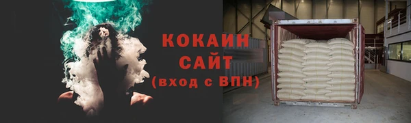 шишки Алексин