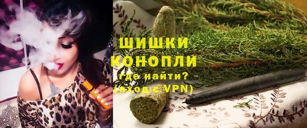 шишки Алексин
