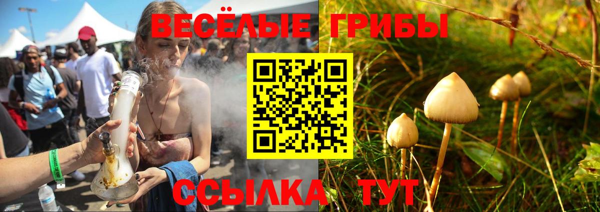 Псилоцибиновые грибы ЛСД  Вход с VPN  Костомукша  Галлюциногенные грибы мухоморы 