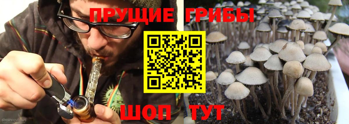 Псилоцибиновые грибы Cubensis Костомукша