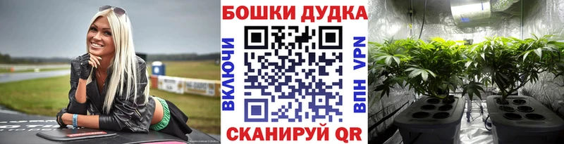 гидра ТОР  Костомукша  Конопля Ganja 
